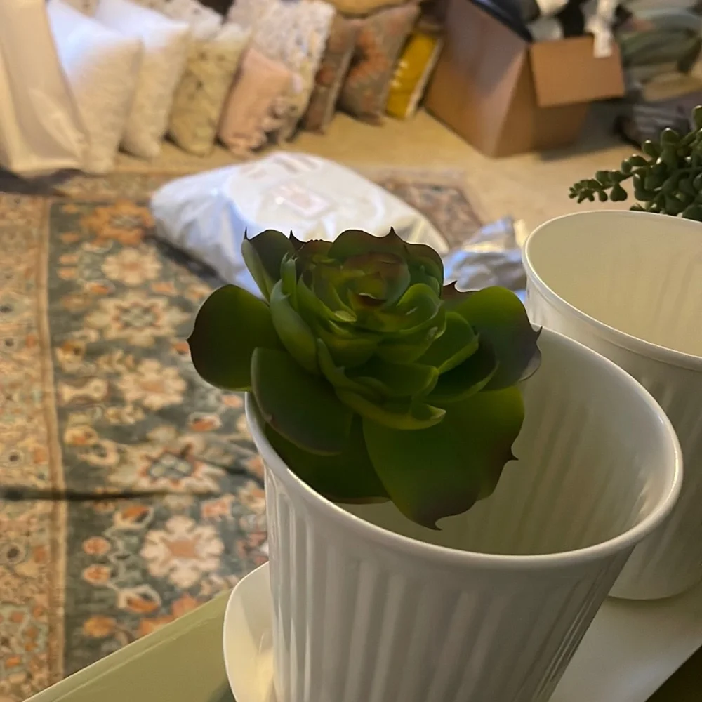 Faux succulent stem